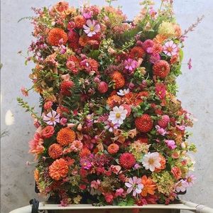 Meet your Posher, Mandy